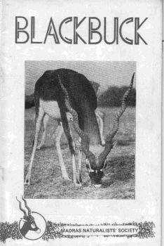 Blackbuck cover