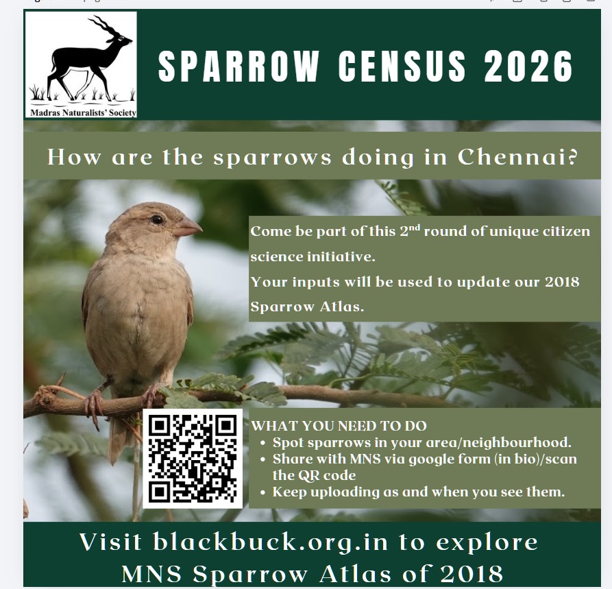 Sparrow Census 2026